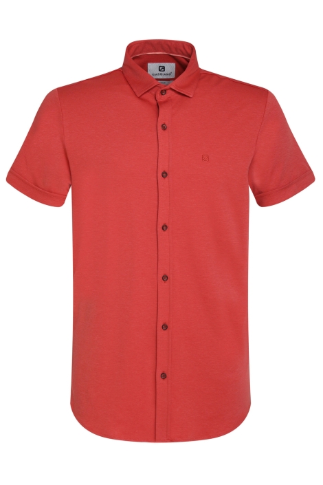 Gabbiano 335535